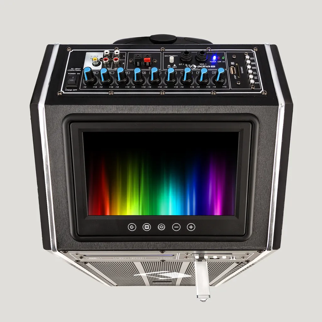 DisGo Box 100 DVD Mobile PA-Anlage, 300 W Max., 9" TFT-Display, DVD, BT – Bild 3