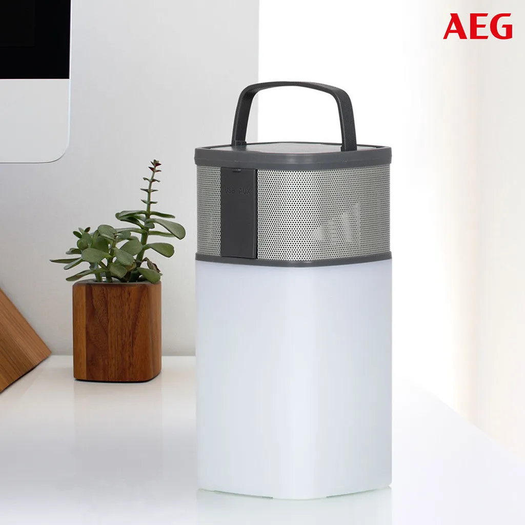 AEG Bluetooth Lautsprecher BSS 4841 19,5x9,5x69,5 Cm Grau – Bild 9