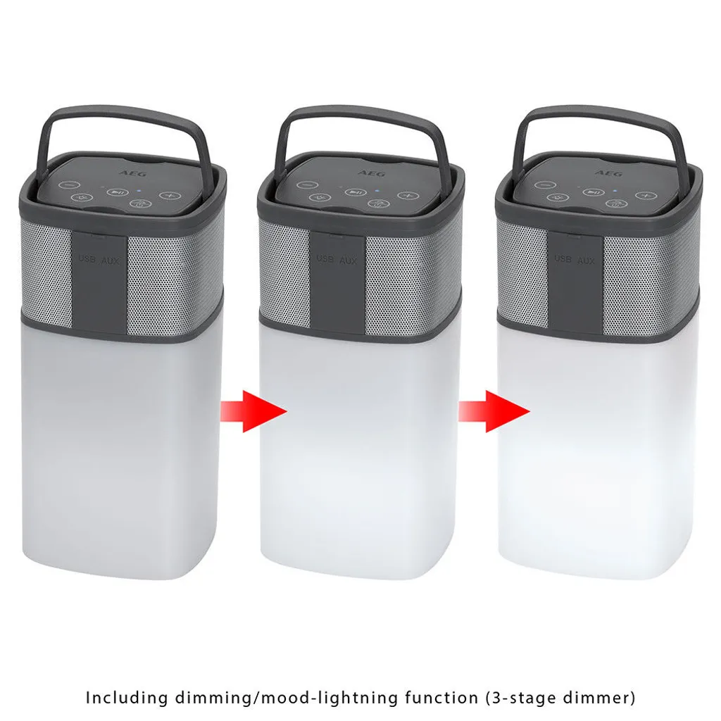 AEG Bluetooth Lautsprecher BSS 4841 19,5x9,5x69,5 Cm Grau – Bild 4