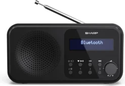 Sharp DR-P420 - Tragbar - Digital - DAB - DAB+ - FM - Automatischer Suchlauf