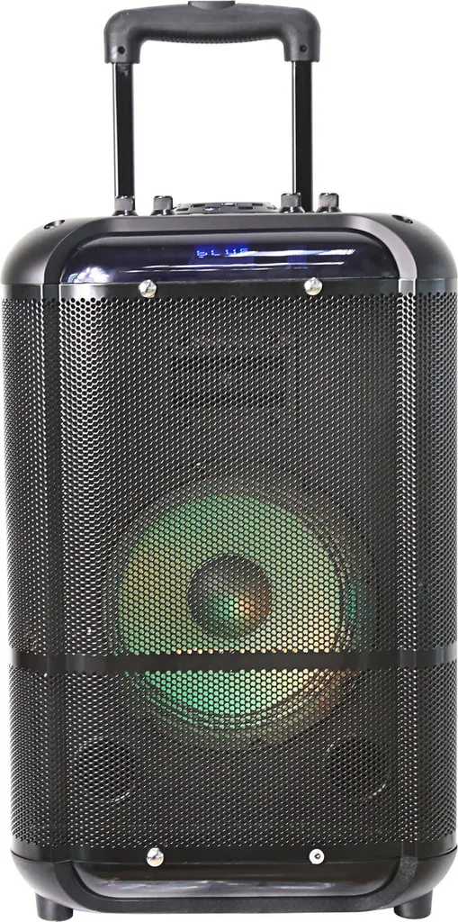 Denver TSP-306 Bluetooth Trolley Speaker 8 Zoll Lautsprecher